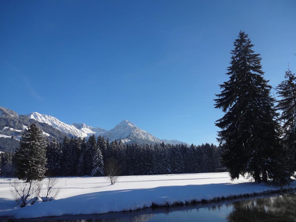 Ferienwohnungen Ellen Muller Fischen im Allgaeu Exterior foto